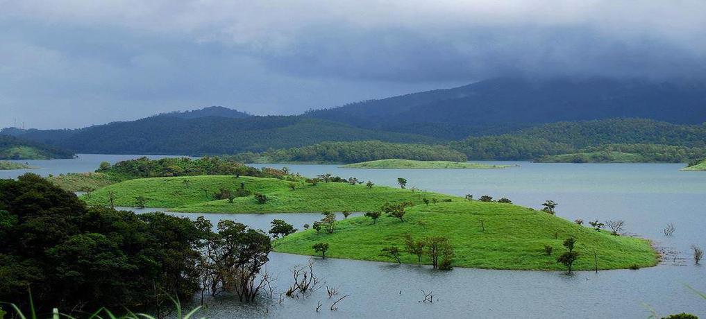 Ooty-Wayanad Tour Package