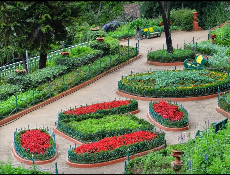 Ooty Budget Tour packages