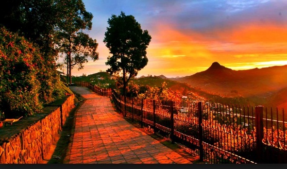 Banagalore-Ooty- Kodaikanal Tour Package