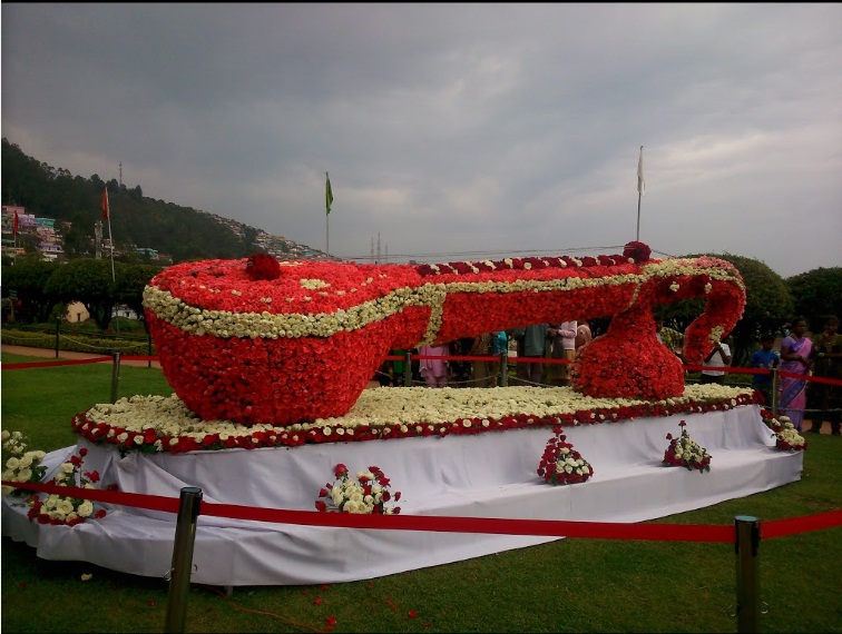 Ooty Budget Tour packages