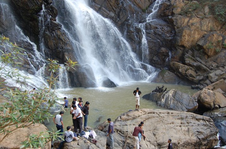 Ooty-Wayanad Tour Package