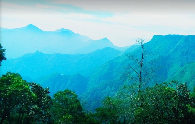 Ooty-Kodaikanal Tour Package